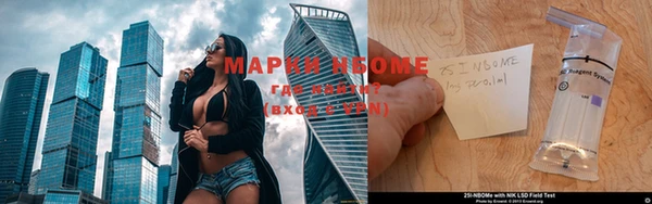 крисы Новокубанск