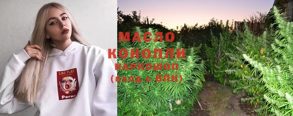 крисы Новокубанск