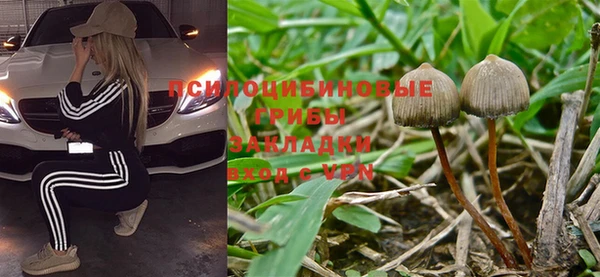 крисы Новокубанск