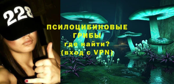 таблы Новодвинск