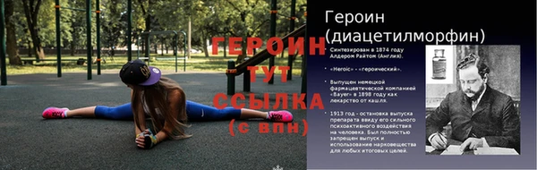 крисы Новокубанск