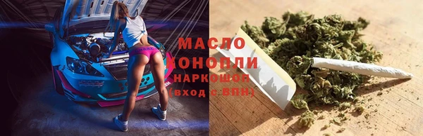 ешки Новозыбков